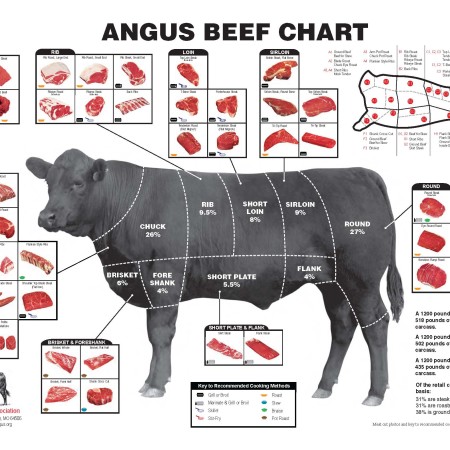 Beef – CR Protein Solutions